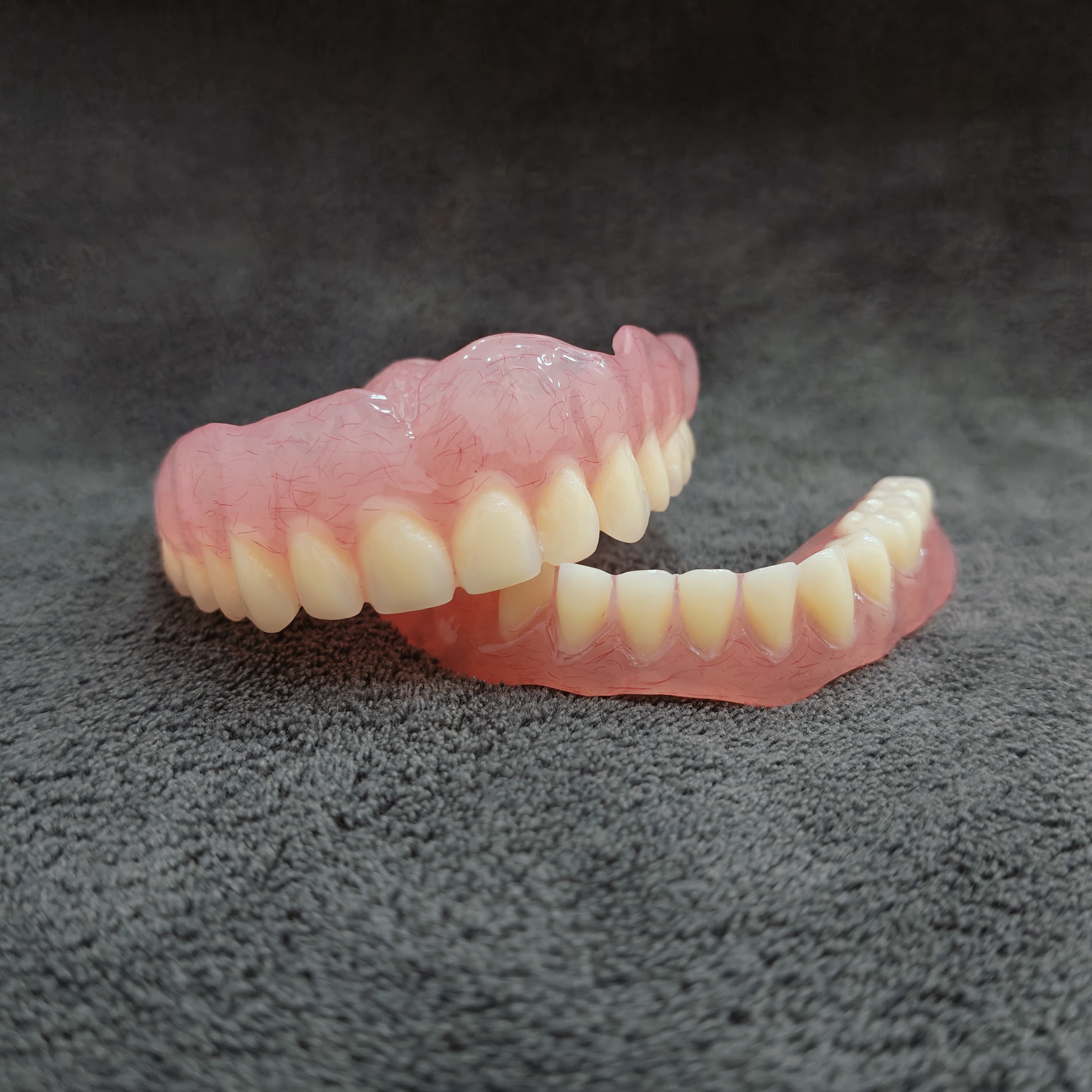 Full Denture Set